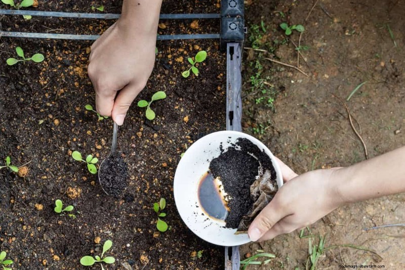 Natürliche Schädlingsbekämpfung:19 umweltfreundliche Möglichkeiten, Ihren Garten zu schützen 