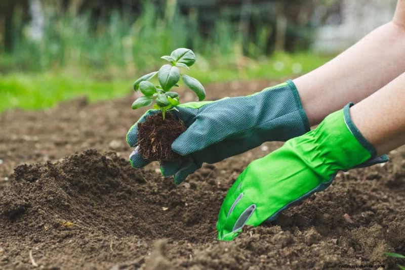Natürliche Schädlingsbekämpfung:19 umweltfreundliche Möglichkeiten, Ihren Garten zu schützen 