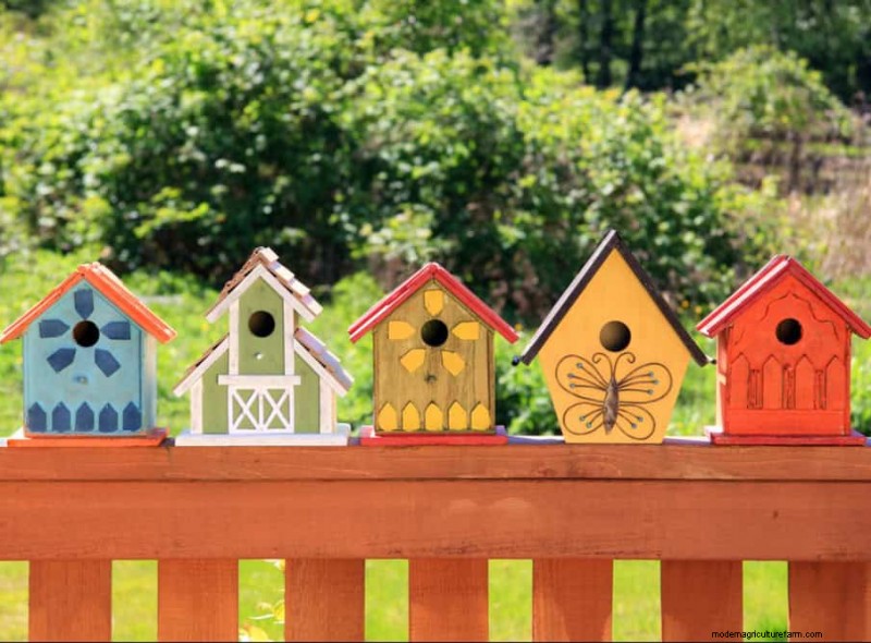 Natürliche Schädlingsbekämpfung:19 umweltfreundliche Möglichkeiten, Ihren Garten zu schützen 