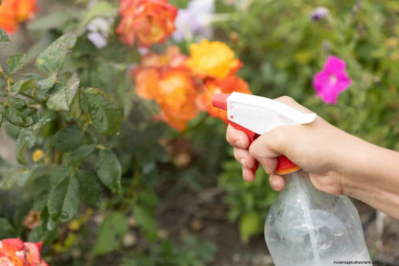 Natürliche Schädlingsbekämpfung:19 umweltfreundliche Möglichkeiten, Ihren Garten zu schützen 