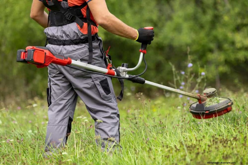 Natürliche Schädlingsbekämpfung:19 umweltfreundliche Möglichkeiten, Ihren Garten zu schützen 