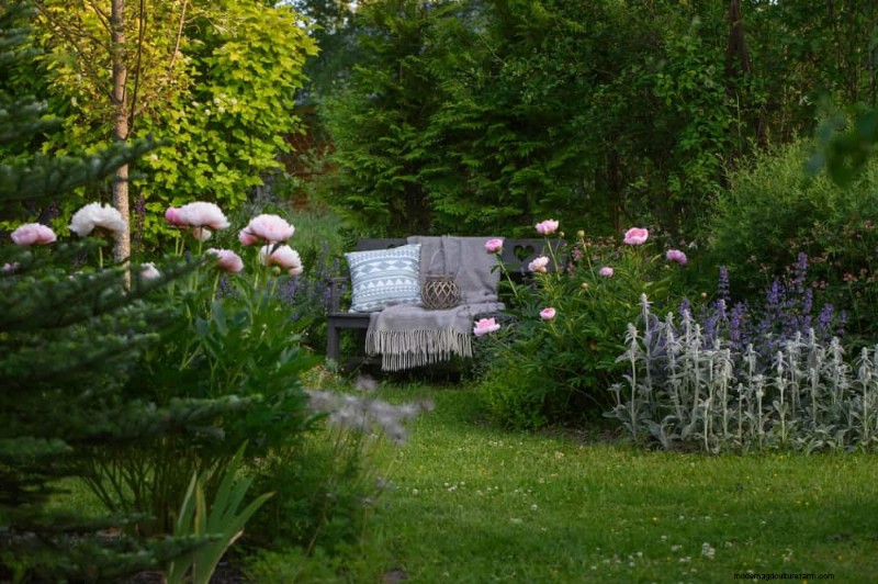 Creëer een sprookjestuin:19 betoverende cottage-tuinplanten 