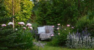 Gestalten Sie einen Märchengarten:19 bezaubernde Bauerngartenpflanzen 