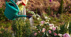 Waterwijs tuinieren:24 eenvoudige manieren om dit voorjaar water te besparen 