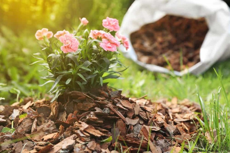 25 beprövade sätt att använda kompost för en blomstrande trädgård 
