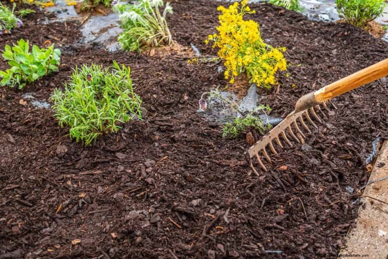 25 beprövade sätt att använda kompost för en blomstrande trädgård 