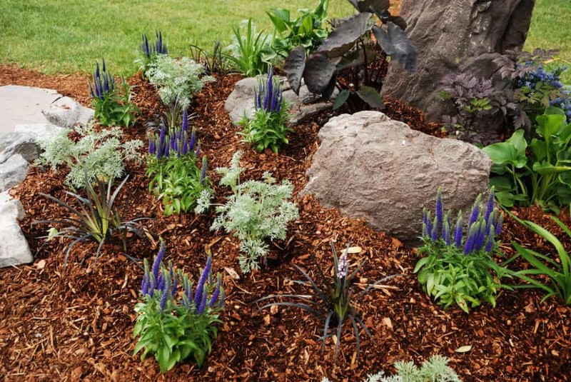 25 beprövade sätt att använda kompost för en blomstrande trädgård 