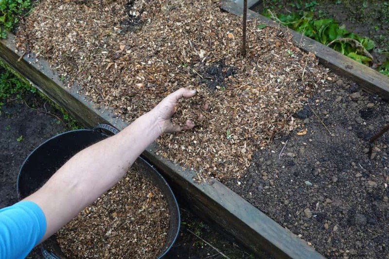 25 beprövade sätt att använda kompost för en blomstrande trädgård 