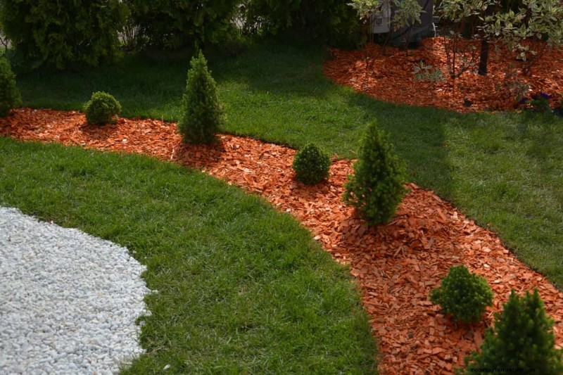 25 beprövade sätt att använda kompost för en blomstrande trädgård 