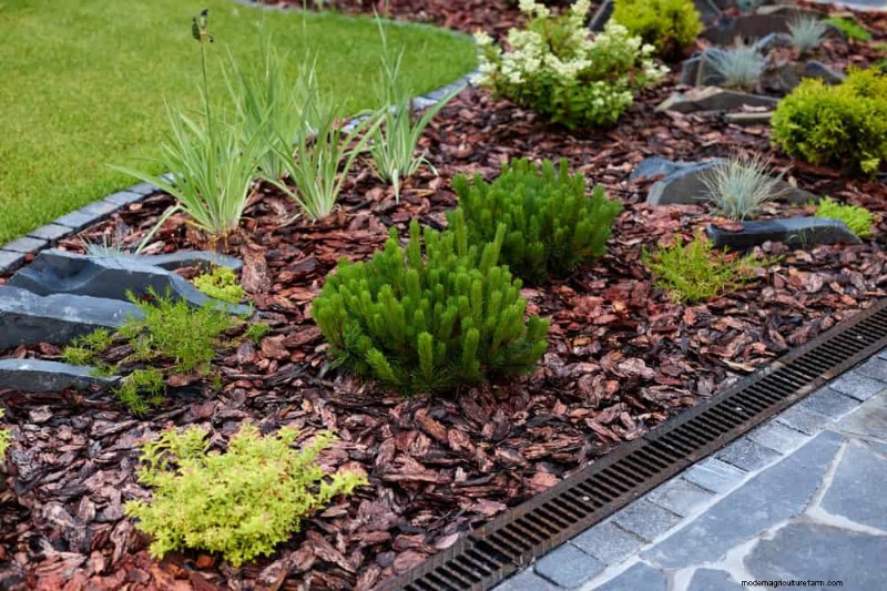 25 beprövade sätt att använda kompost för en blomstrande trädgård 
