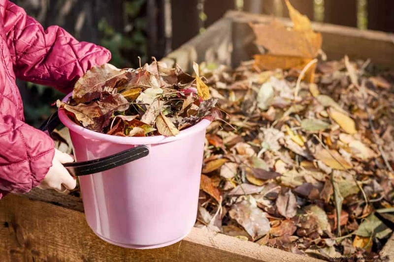 25 beprövade sätt att använda kompost för en blomstrande trädgård 