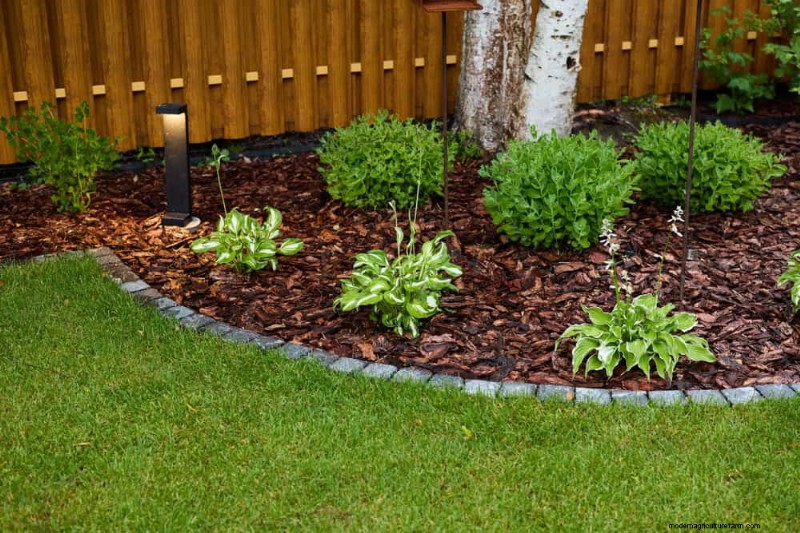 25 beprövade sätt att använda kompost för en blomstrande trädgård 