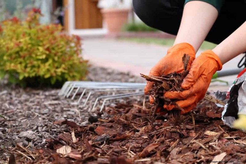 25 beprövade sätt att använda kompost för en blomstrande trädgård 