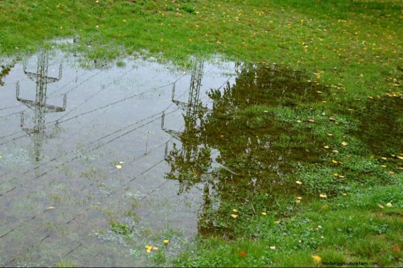 Verhindern Sie Überschwemmungen im Frühjahr:24 intelligente Gartenentwässerungslösungen 