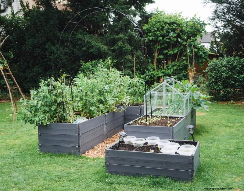 Verhindern Sie Überschwemmungen im Frühjahr:24 intelligente Gartenentwässerungslösungen 