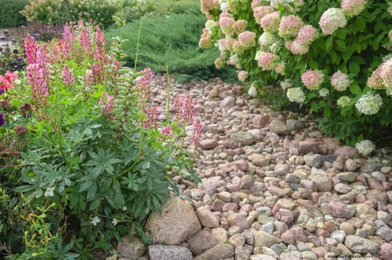 Verhindern Sie Überschwemmungen im Frühjahr:24 intelligente Gartenentwässerungslösungen 