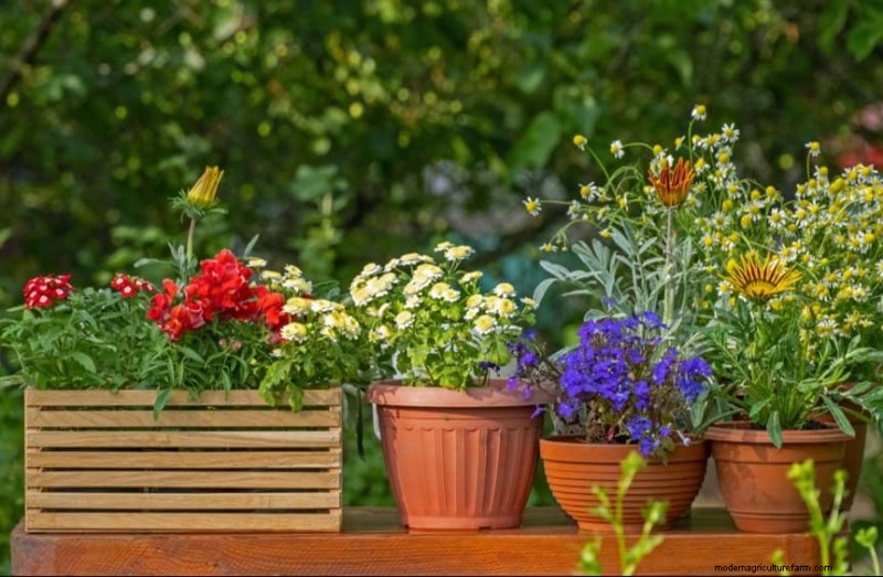 Verhindern Sie Überschwemmungen im Frühjahr:24 intelligente Gartenentwässerungslösungen 