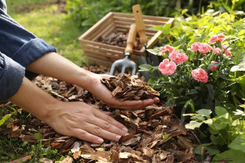 Verhindern Sie Überschwemmungen im Frühjahr:24 intelligente Gartenentwässerungslösungen 