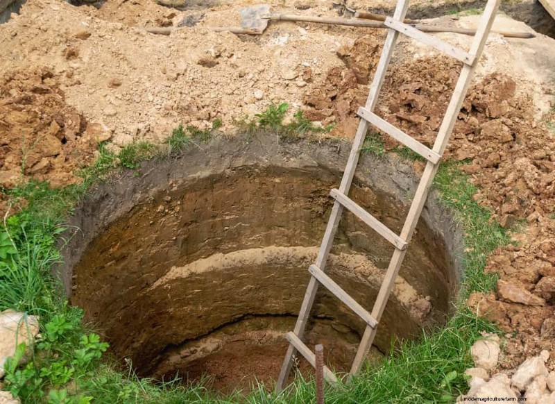 Verhindern Sie Überschwemmungen im Frühjahr:24 intelligente Gartenentwässerungslösungen 
