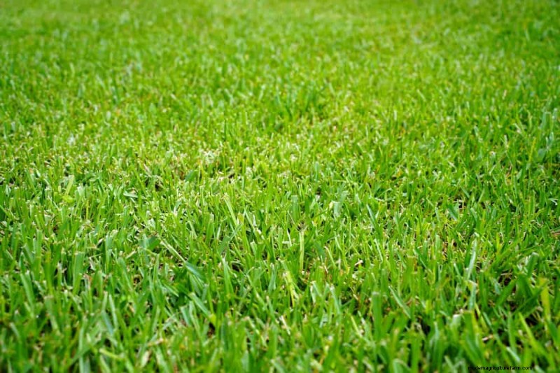 Verhindern Sie Überschwemmungen im Frühjahr:24 intelligente Gartenentwässerungslösungen 