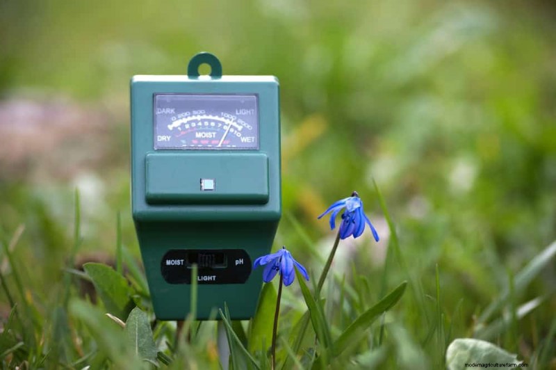 Verhindern Sie Überschwemmungen im Frühjahr:24 intelligente Gartenentwässerungslösungen 