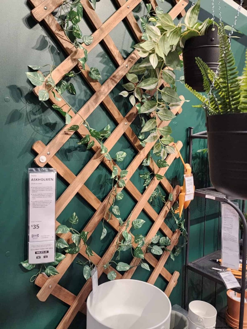 IKEA-Gartengeräte:Stilvolle und erschwingliche Fundstücke (ab 1,99 $) 