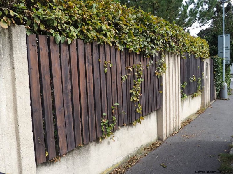 23 natürliche Ideen für die Privatsphäre im Hinterhof, um Ihre Landschaft zu verbessern 