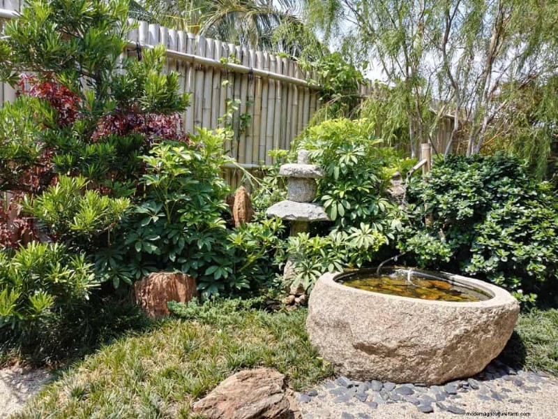 Zen-Garten-Ideen:Schaffen Sie diesen Frühling einen ruhigen Rückzugsort im Freien 