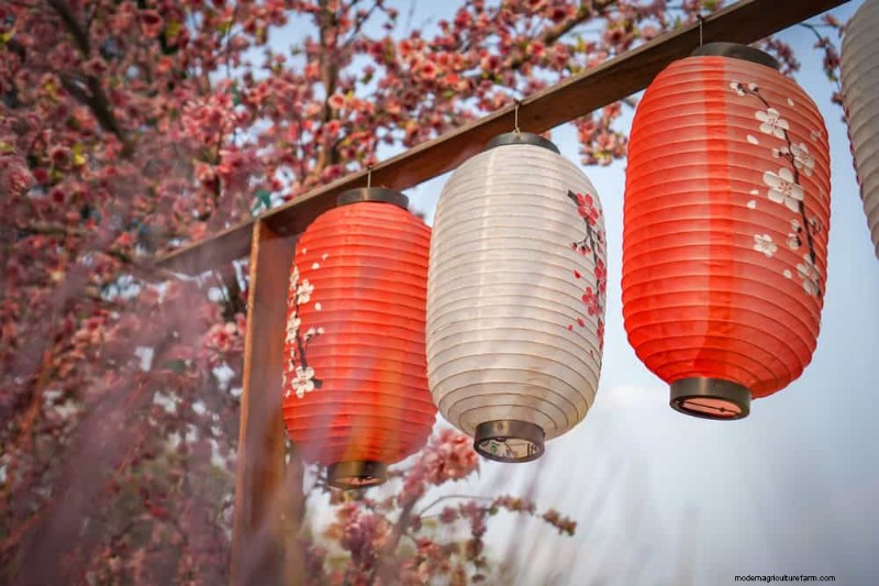 Zen-Garten-Ideen:Schaffen Sie diesen Frühling einen ruhigen Rückzugsort im Freien 