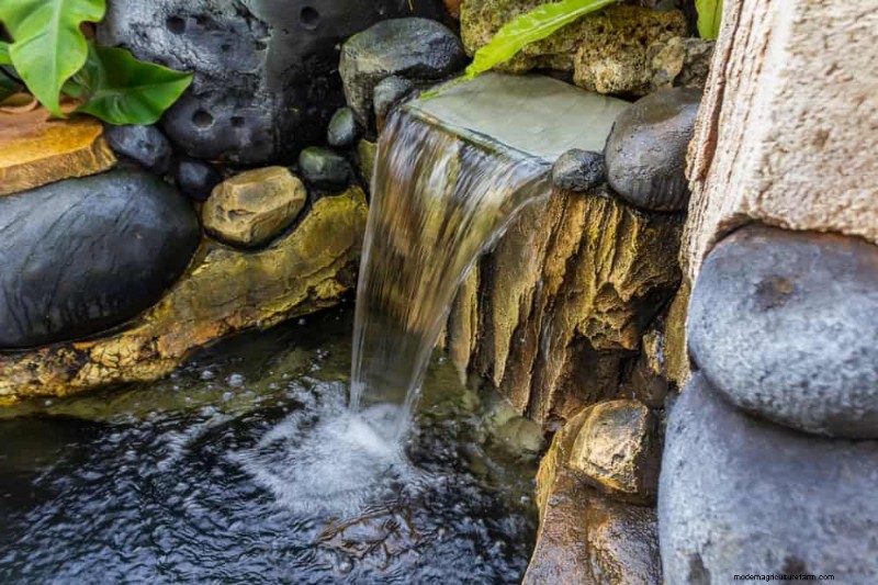 Zen-Garten-Ideen:Schaffen Sie diesen Frühling einen ruhigen Rückzugsort im Freien 