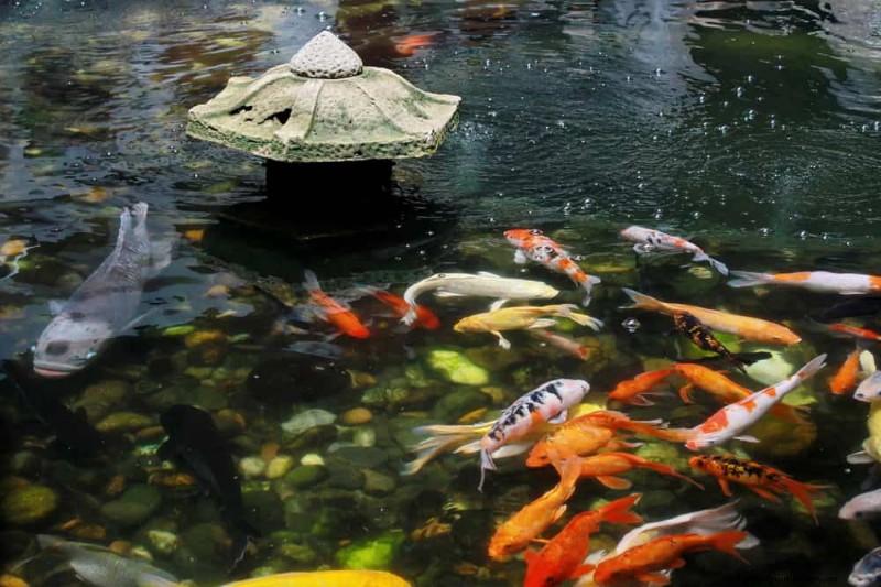 Zen-Garten-Ideen:Schaffen Sie diesen Frühling einen ruhigen Rückzugsort im Freien 