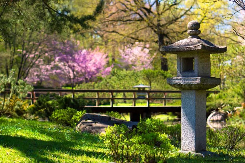 Zen-Garten-Ideen:Schaffen Sie diesen Frühling einen ruhigen Rückzugsort im Freien 