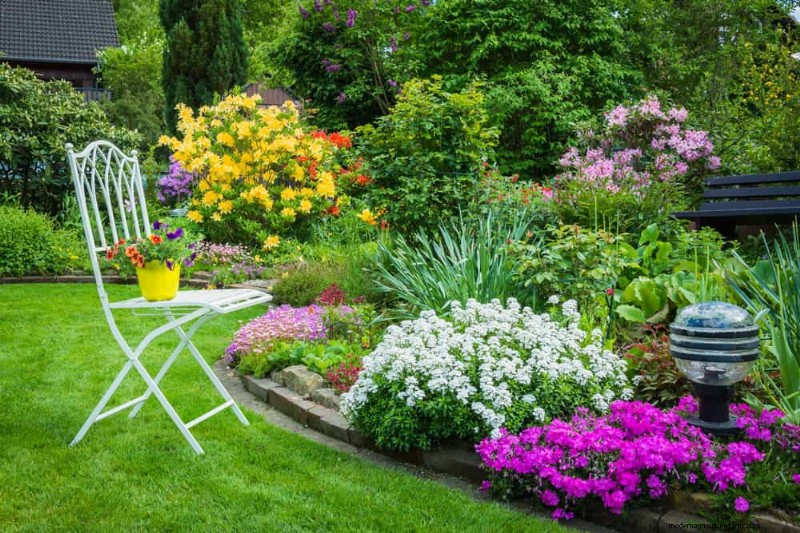 Le 22 migliori piante tappezzanti per un bellissimo giardino primaverile 