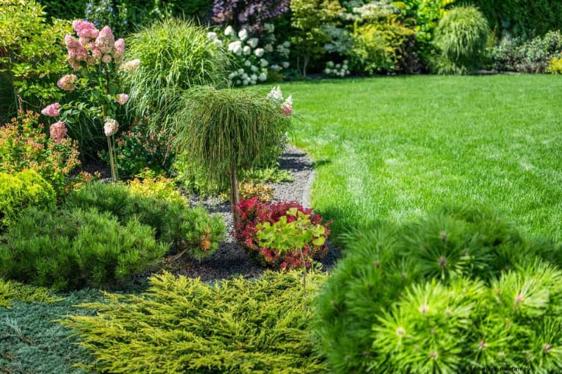 Le 22 migliori piante tappezzanti per un bellissimo giardino primaverile 