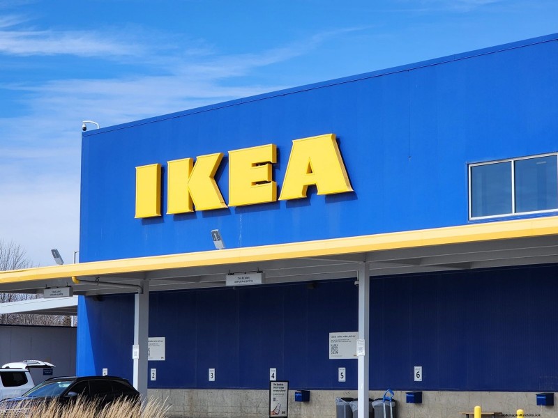 IKEA 植物セクション:すべてのご家庭に手頃な価格の観葉植物 