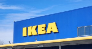 IKEA-Pflanzenbereich:Erschwingliche Zimmerpflanzen für jedes Zuhause 