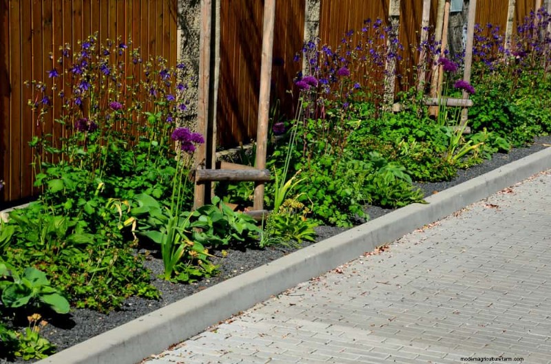 Bescherm uw tuin:19 natuurlijke methoden voor de bestrijding van naaktslakken en slakken 
