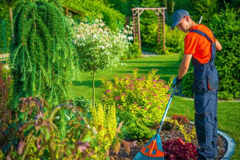 Bescherm uw tuin:19 natuurlijke methoden voor de bestrijding van naaktslakken en slakken 