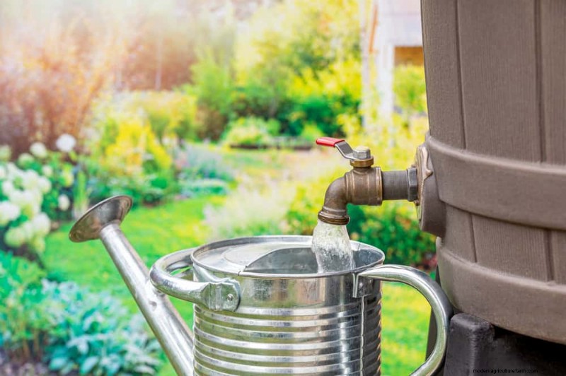 Bescherm uw tuin:19 natuurlijke methoden voor de bestrijding van naaktslakken en slakken 
