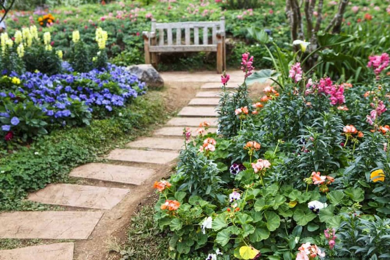 持続可能なカッティングガーデン:自生の花と採集された花の栽培 