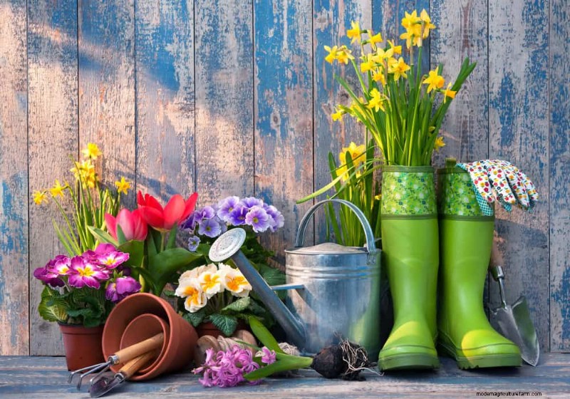 Peralatan Berkebun Musim Semi Terbaik:Peralatan Penting untuk Taman yang Berkembang 
