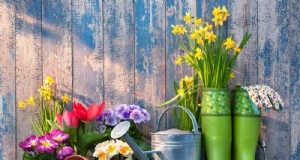 Top lentetuingereedschap:essentiële uitrusting voor een bloeiende tuin 