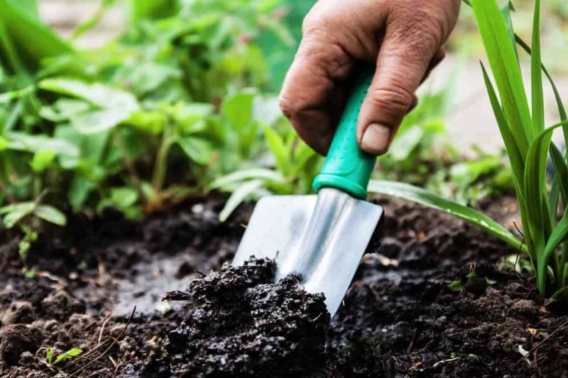 Peralatan Berkebun Musim Semi Terbaik:Peralatan Penting untuk Taman yang Berkembang 
