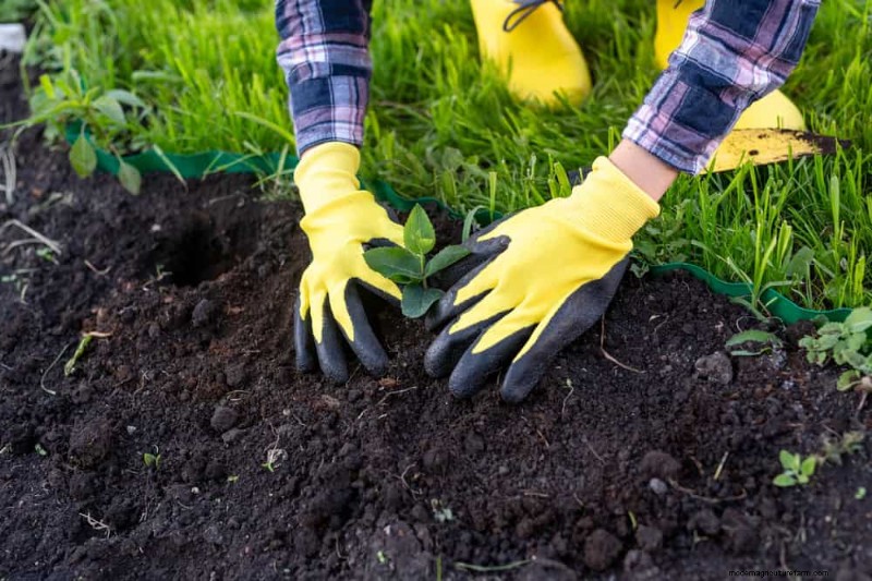 Peralatan Berkebun Musim Semi Terbaik:Peralatan Penting untuk Taman yang Berkembang 