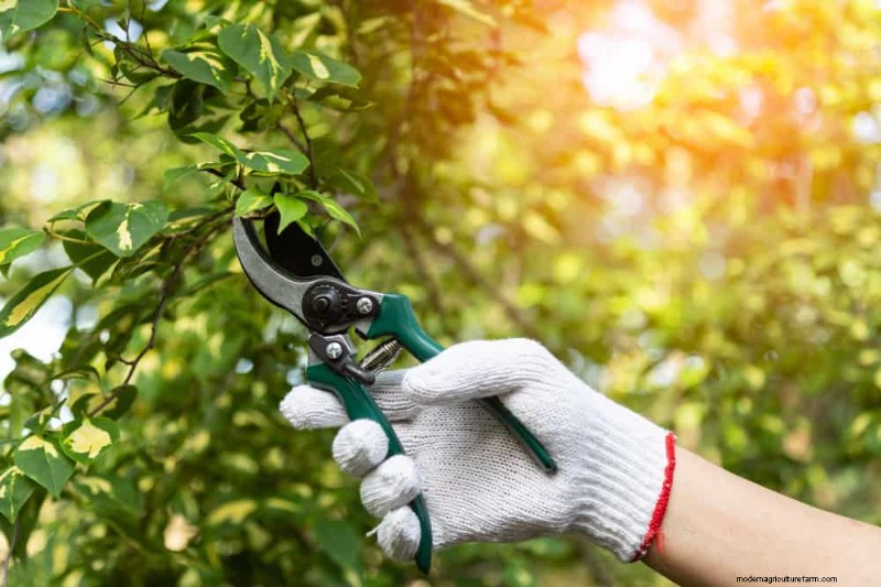Peralatan Berkebun Musim Semi Terbaik:Peralatan Penting untuk Taman yang Berkembang 