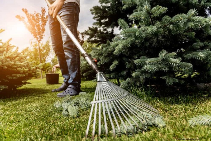 Peralatan Berkebun Musim Semi Terbaik:Peralatan Penting untuk Taman yang Berkembang 