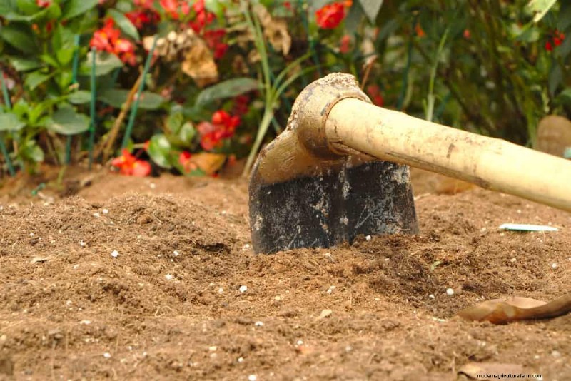Peralatan Berkebun Musim Semi Terbaik:Peralatan Penting untuk Taman yang Berkembang 