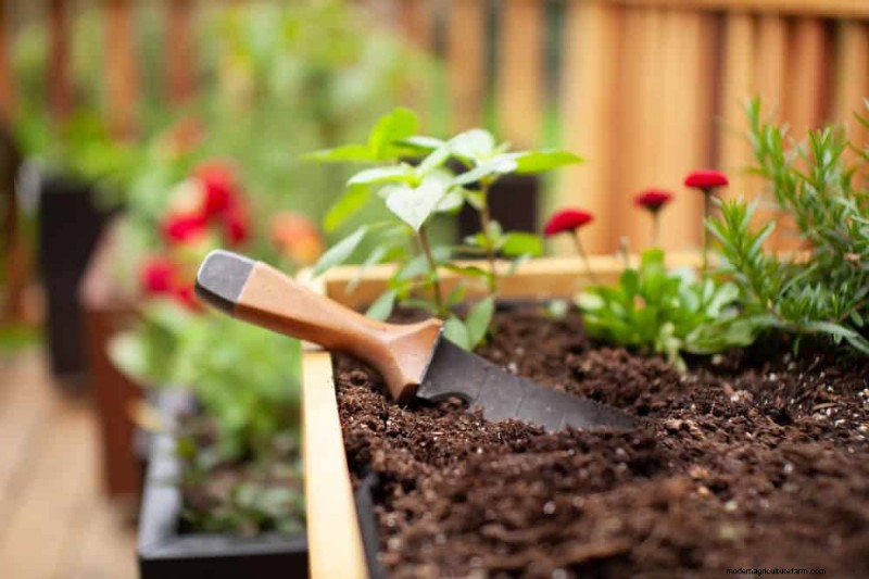 Peralatan Berkebun Musim Semi Terbaik:Peralatan Penting untuk Taman yang Berkembang 