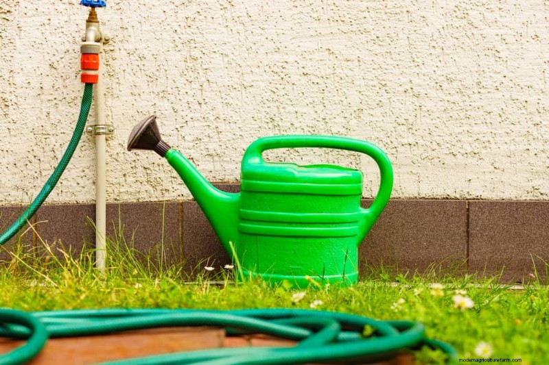 Peralatan Berkebun Musim Semi Terbaik:Peralatan Penting untuk Taman yang Berkembang 