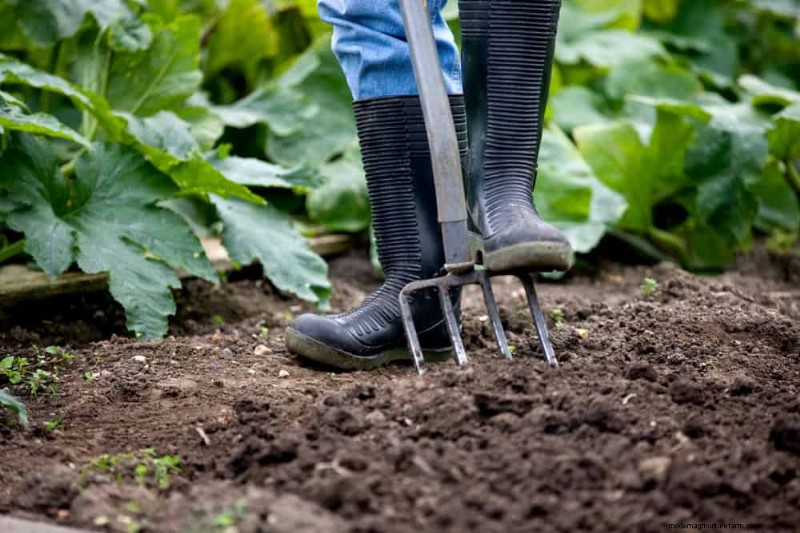 Peralatan Berkebun Musim Semi Terbaik:Peralatan Penting untuk Taman yang Berkembang 